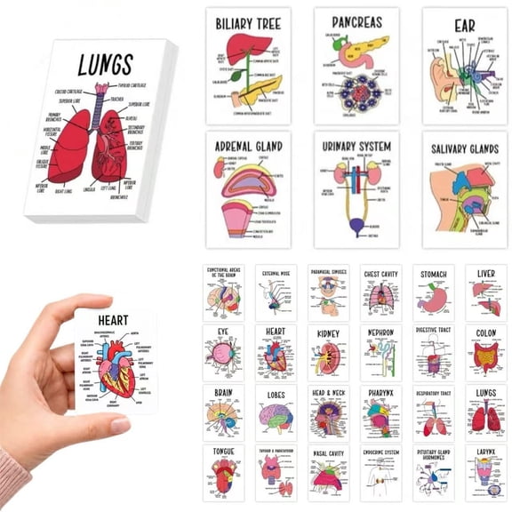 30-Pack Anatomy and Physiology Flash Cards, Human Anatomy Visual Study Tool