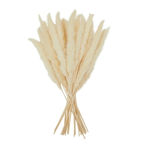 Juvale Natural Pampas Grass Stems - 30-Pack, 17 in, White, Dried - Rustic Farmhouse Decor & Vase Filler - Home, Wedding & Table Decor