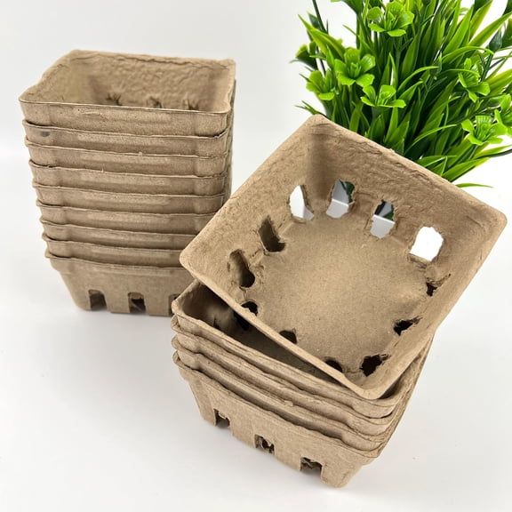30 Pack Natural Pulp Fiber Berry Basket,Small Molded Produce Vented Basket Kitchen Supplies for Strawberry Blueberry Raspberry, Fruit Tray