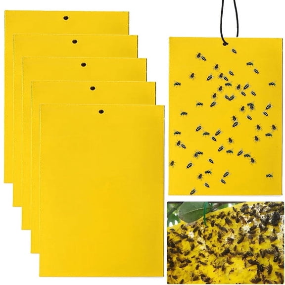 30 Pack Yellow Sticky Traps – Gnat Trap, Fruit Fly Paper Dual-Sided, Fly Traps Indoor Sticky for Gnats, Fruit Flies, Midges – Waterproof Insect Catcher for Indoor & Outdoor Use