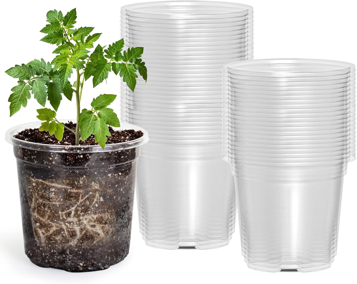 30 Packs 4 Inch Reinforced Clear Nursery Pots with Humidity Dome ...