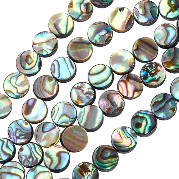 30 Packs Natural Abalone Shell Coin Flat Round Abalone Shell Beads with Storage Containers for DIY Jewelry Making 8x3mm