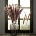thumbnail image 1 of 30 Pcs 17inch Natural Dried Pampas Grass Vase Decor - Dried Flowers for Vase - Pampass Grass Branches, Small Pampas Grass Dried Plants - Pampas Grass Decor Boho Fall Decor for wedding, 1 of 7