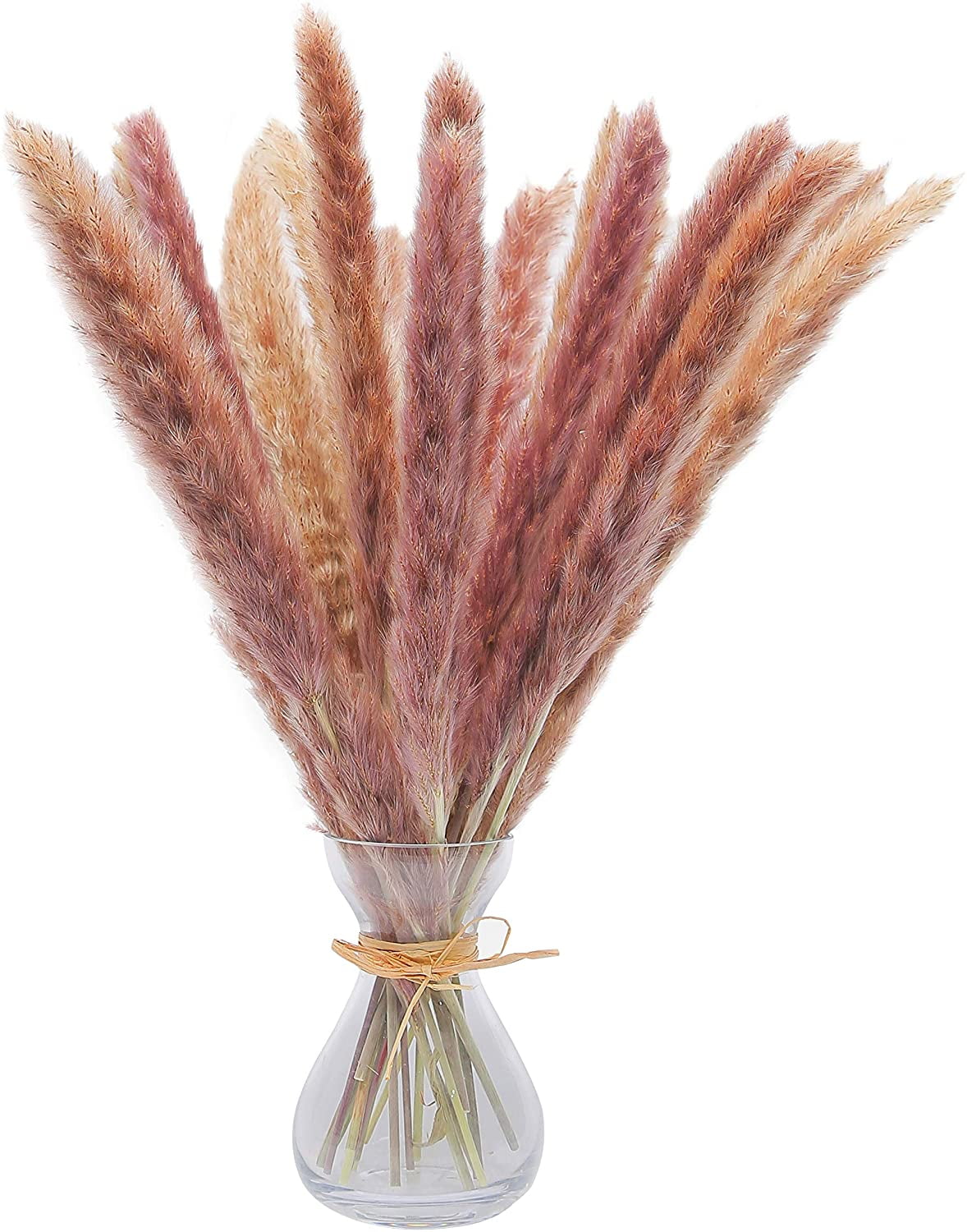 30 Pcs 45 cm All Natural Dried Pampas Grass Vase Decor Dried Flowers