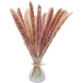 30 Pcs 45 cm All Natural Dried Pampas Grass Vase Decor Dried Flowers for Vase Pampass Grass