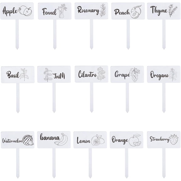 30 Pcs Clear Blank Ground Identifier Tag Double Sided Laminating Plant Identifier Marker Garden Identification Label Ground Identifier Tag Acrylic Plant Marker