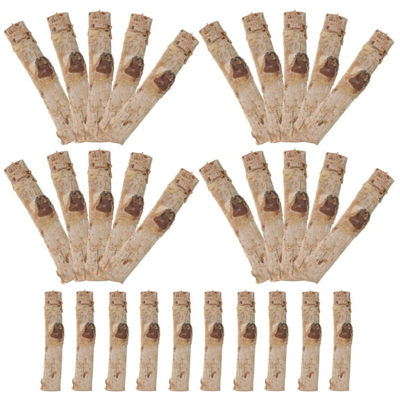 30 Pcs Decor Mini Dry Wooden Sticks Craft Twigs Branch Antique