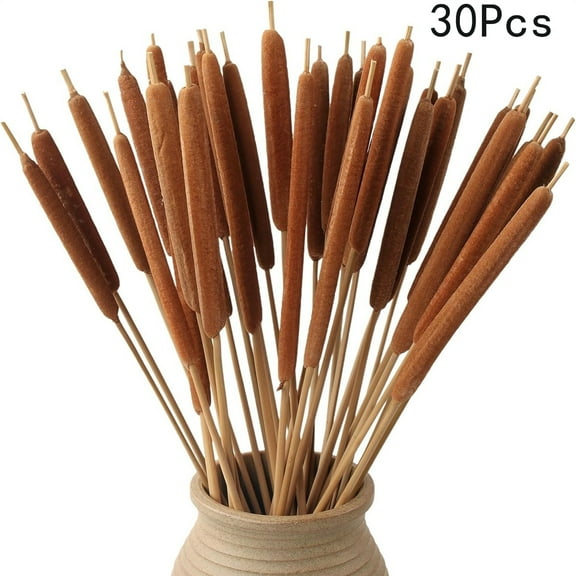 30 Pcs Dried Natural Cattails Tutuviw 17in Large Cattails Bundles Real Dried Cattails Flowers Pampas Grass Artificial Pampas Grass Flowers for DIY Floral Arrangements Home Office Decor
