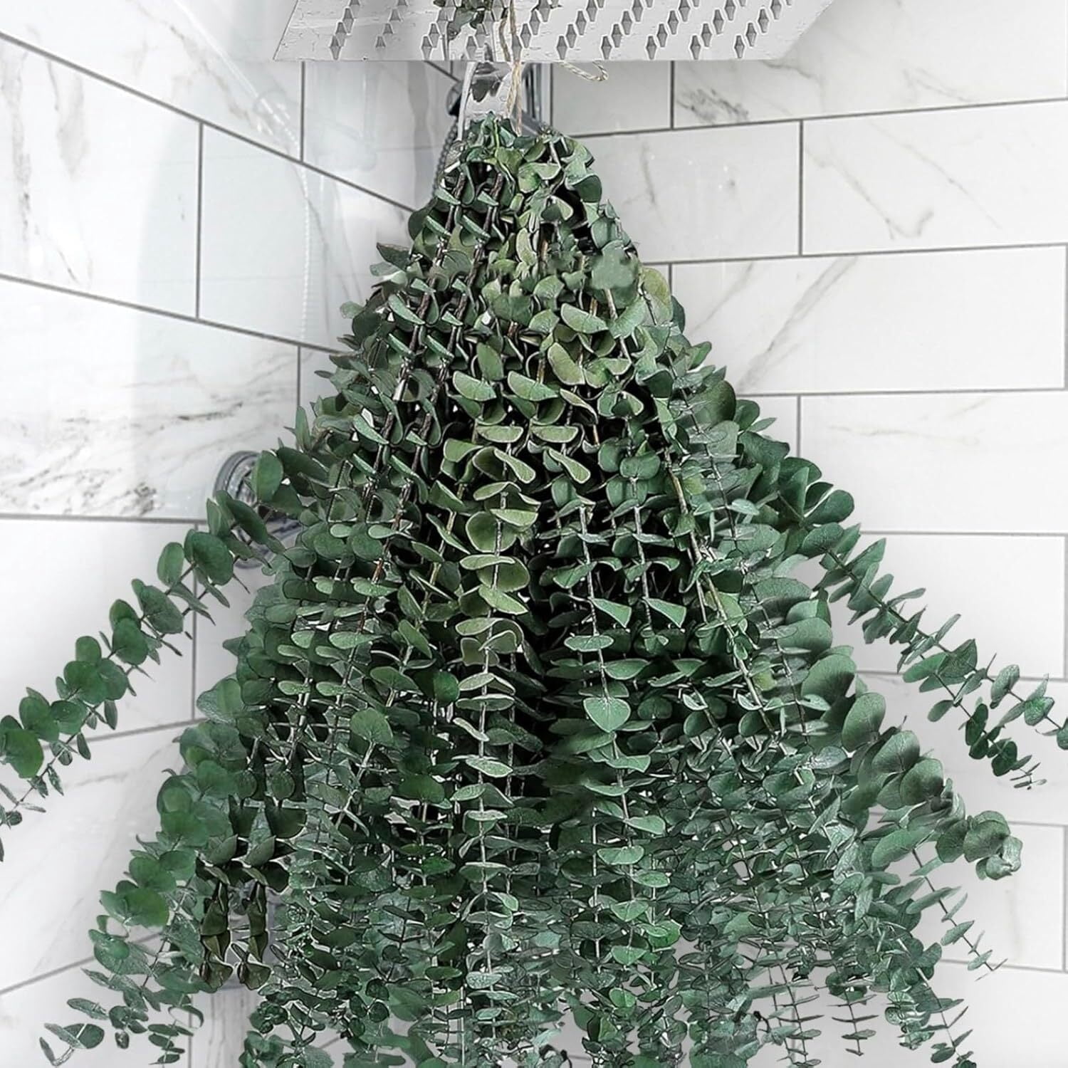 30 Pcs Dried Preserved Eucalyptus Stems Shower Bundle, 17" Natural Fresh Eucalyptus Plant, Real Eucalyptus Leaves Branches for Shower Vase Filler, Dried Flowers Arrangement Home Decor