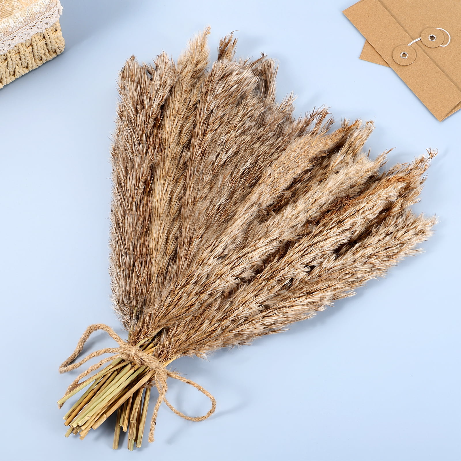 30 Pcs Natural Dried Pampas Grass Decor Brown Bouquet Dried Flowers