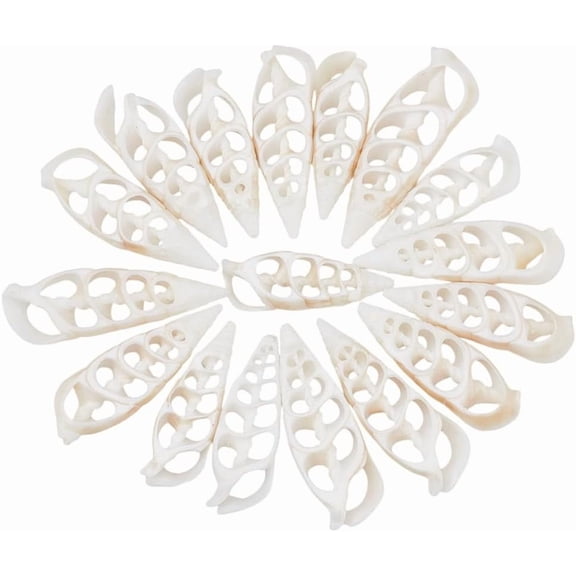 30 Pcs Natural Shell Beads Center Cut Shell Beads Terebra Turritella Aquarium Ornaments Summer Beach Small Seashells for Vase Fillers Jewelry Making DIY Crafting Snow for making
