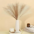 thumbnail image 1 of 30 Pcs Pampas Grass Decor 21.7" Fluffy Faux Short Brown Pampas Grass Artificial Small Pompas Grass Flower Vase Filler for Home Wedding Living Room Wall Party Decoration, 1 of 11