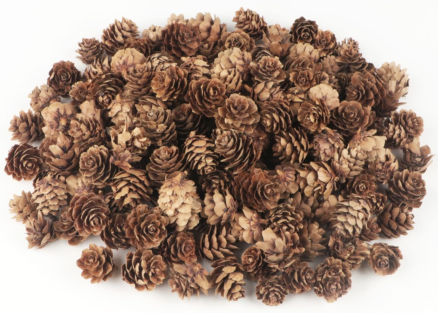 30 Pcs Pine Cones Decorations, Natural Pine Cones Bulk Mini Pine