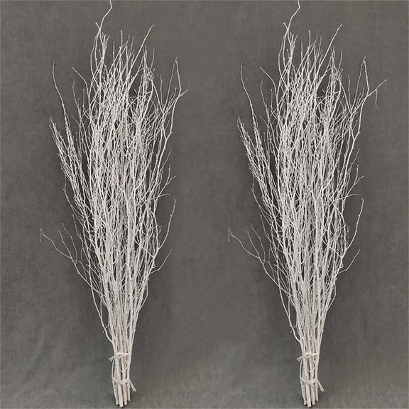 30 Pcs Real Dried Birch Branches,19.7 Inch Natural Birch Twigs for Vase, Centerpiece,Natural Decorative Birch Branches for Crafts, DIY Floral Arrangements Wreath Wedding Centerpiece Home Decor