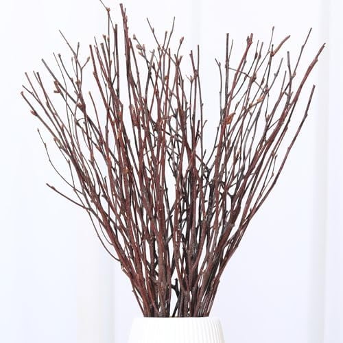 30 Pcs Real Dried Birch Twigs - 17" Natural Decorative Birch Branches for Vase, Centerpiece, Sticks for DIY Crafts, Twig Wreath, Flower Arrangement, Plants for Rustic Home Wedding Decor
