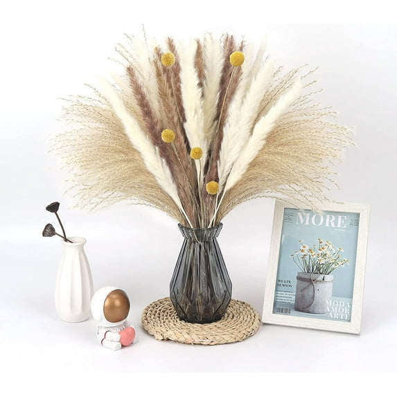 30 Pcs Reed 17”(Brown&White) ,30 PcsHorsetail Whisk for Vase Flower Arrangement Wedding Kitchen Home Decor