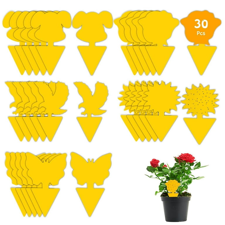 30 Pcs Sticky Paper for Indoor Plant, Sticky Gnat Trap, Dual-Sided Yellow  Bug Catcher for House Plant Outside, Yellow Sticky Boards 