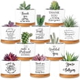 thumbnail image 1 of 30 Pcs Thank You Succulent Plant Gift Set with Ceramic Pots and Bamboo Trays, 1 of 6
