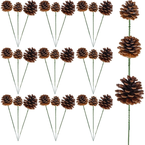 30 Pieces Christmas Natural Pine Cones Rustic Natural Pine Cone for Craft 3 Sizes Pinecones with Wired Pick Pinecones Ornaments for Christmas Tree Decoration Thanksgiving Fall Home Decor