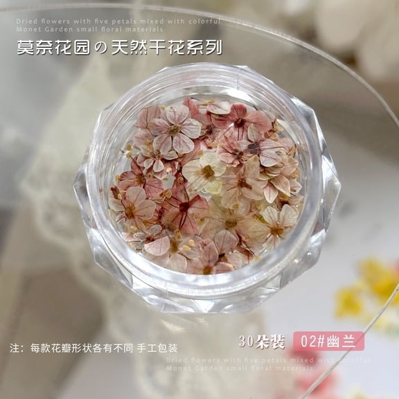 30 Pieces Miniature Dried Flower Nail Art Set - Colorful Accessories for Creative Nail Designs