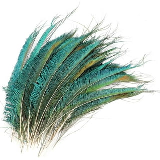 Hello Hobby Multicolor Feathers - Arts and Craft - 4.75 x 0.52 x 8.75