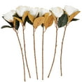 thumbnail image 1 of 30" Plastic Floral Tall Magnolia Artificial Flower Stem, by DecMode (6 Count), 1 of 9