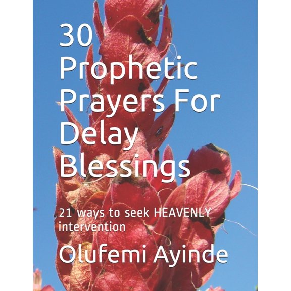 30 Prophetic Prayers For Delay Blessings: 21 ways to seek HEAVENLY intervention in THE BIBLE (Paperback)