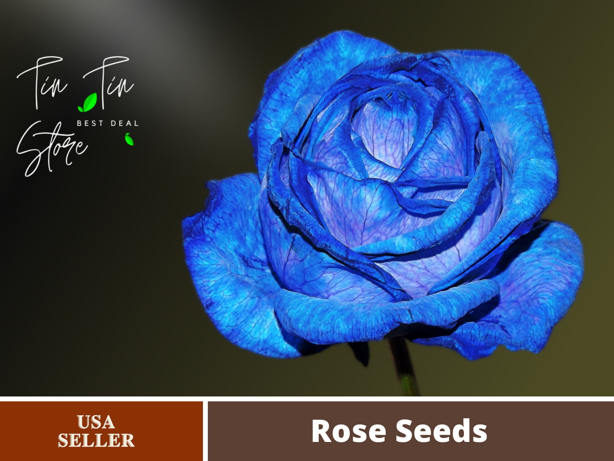 Walmart Light Blue Rose Seeds #1133 | 30 Rare Seeds | Fast Shipping ...