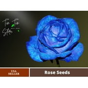 30 Rare Seeds| Light Blue Rose #1133 |BUY 4 GET 1 FREE|