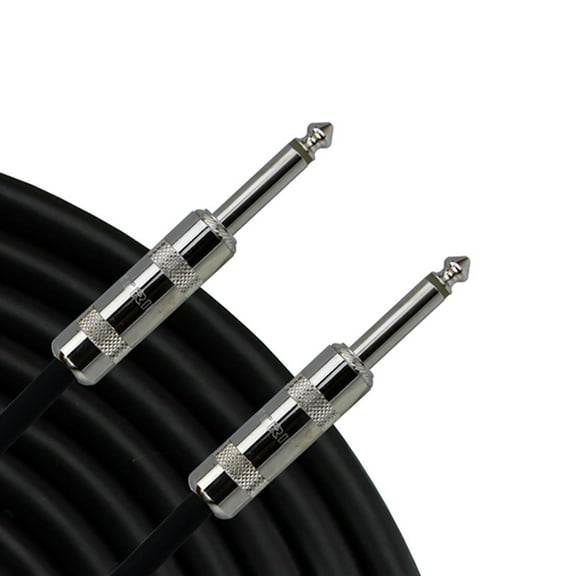 30' SPEAKER CABLE