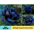 thumbnail image 1 of 30+ Seeds|Midnight Supreme Rose Seeds - Authentic Seeds - Perennial~GMO Free~~Flower seeds ~ Asian Garden~ Herbs B5G1#1067, 1 of 5