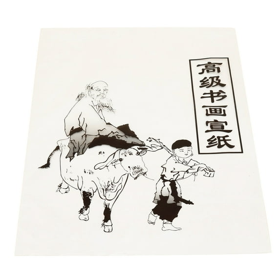 Homoyoyo Rice Paper for Calligraphy Practice 30 Sheets 13.8 x 9.8 Inches High Quality Thin Paper