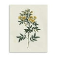 thumbnail image 1 of 30" Singular Yellow Blossom Branch Canvas Wall Art, 1 of 5