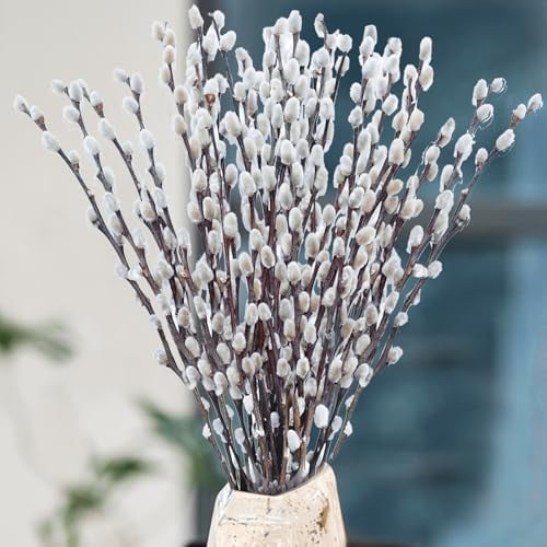 30 Stems Real Dried Pussywillow Preserved Greenery Branches for Vase- Natural Pussywillows with White Flowers, 16''-17'' Snow Willow Branches for Easter Wedding Home Party Hotel Fireplace Decor