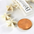 thumbnail image 1 of 30 Synthetic Turquoise Stone Star Shaped Beach Themed Starfish Fish Beads with 1.5mm Hole (Natural Beige), 1 of 1