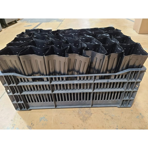 30 Tree Seedling or Grafting Starter Kit, Tall Pots w Drain Holes and Handy Carrier Stabilizes The Trees