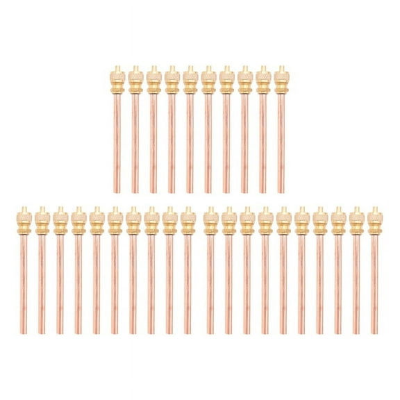 30 Valve 1/4 Inch SAE x 1/4 Inch OD x 4 Inch Stem Core AC Refrigeration