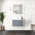 thumbnail image 1 of 30" W X 22" D Dark Grey Bath Vanity With White Quartz Counter - Solid Wood Build, Soft Close Function, Roomier Storage Compartment, Scratch And Stain Surface, Pre-drilled For One Faucet Bathroom 30, 1 of 3