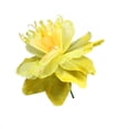 thumbnail image 1 of 30" Yellow Green and Orange Decorative Spring Floral Artificial Craft Stem, 1 of 2