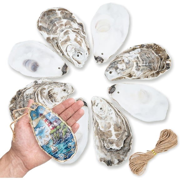 30 count Flat Oyster Shells for Crafts with Holes 4-5" Seashells