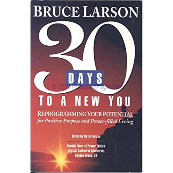 Pre-Owned 30 days to a new you: Reprogramming your potential for positive purpose and power-filled living (Paperback) 0310272424 9780310272427
