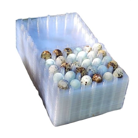 30 hole quail egg cartons for jumbo quail eggs 50 count