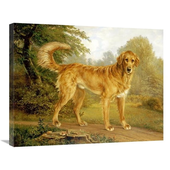 30 in. A Golden Retriever on a Path Art Print - Niels Aagaard Lytzen