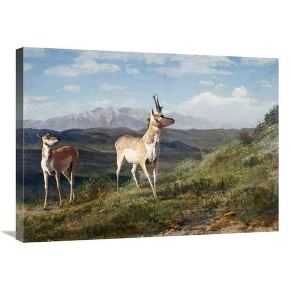 30 in. Antelope Art Print - Albert Bierstadt