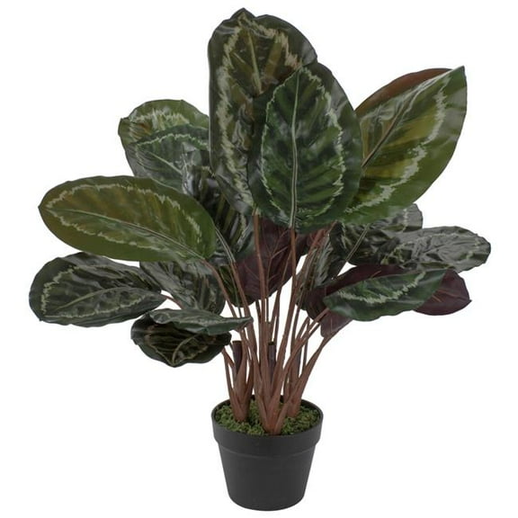 30 in. Artificial Large Green Leaf Calathea Potted Plant