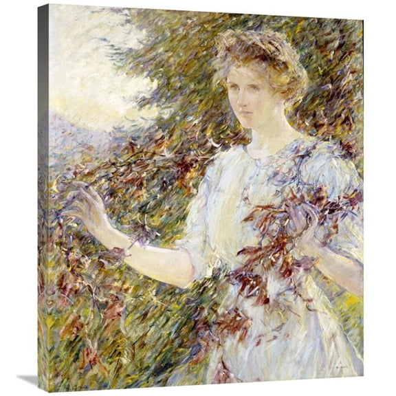 30 in. Autumn Art Print - Robert Reid