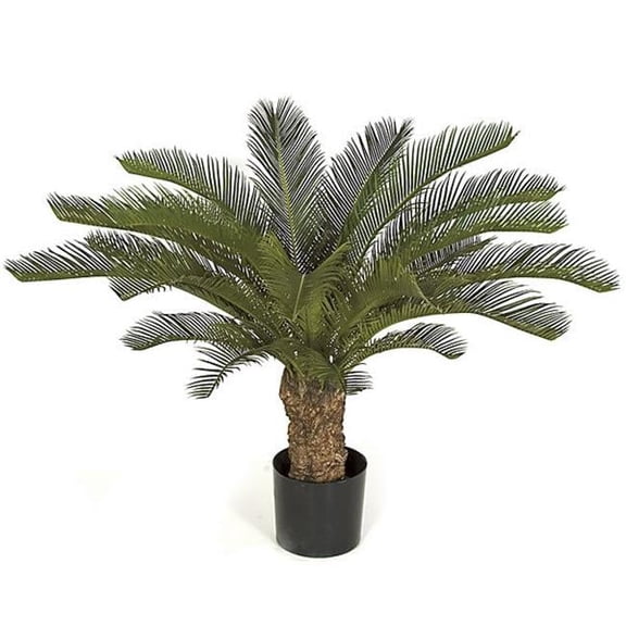 30 in. Baby Cycas Palm UV - Green