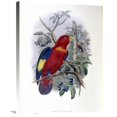 thumbnail image 1 of 30 in. Blue-Thighed Lory Art Print - John Gould, 1 of 1