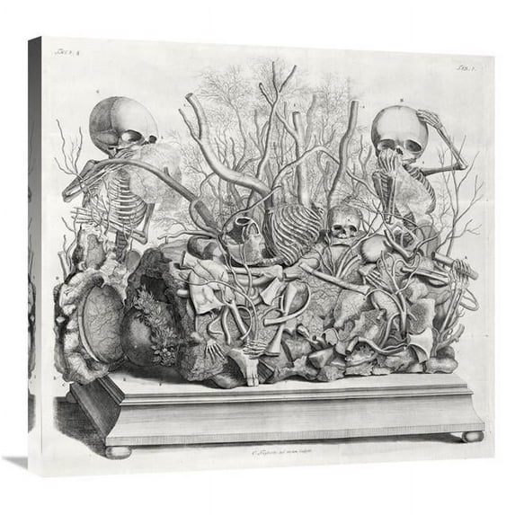 30 in. Diorama of Fetal Skeletons Arranged with Various Internal Organs Art Print - Cornelis Huyberts
