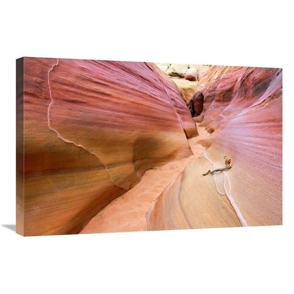 30 in. Fracture Art Print - Vic Schendel